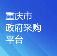 重慶市政府采購CA項目